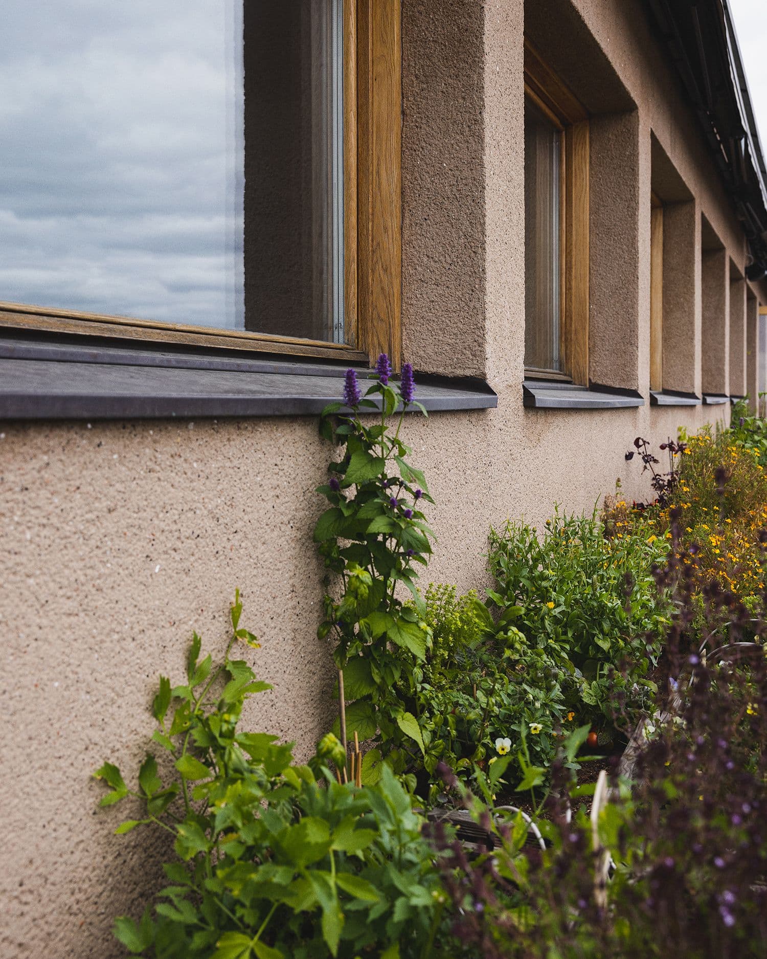 Rooftop garden in restaurant Savoy in Helsinki